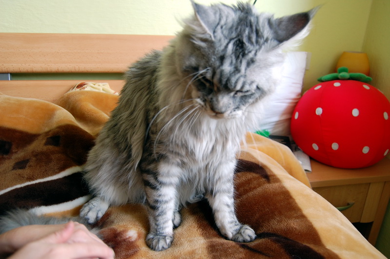 Takhle vypad�m, kdy� jsem hodn� ura�en�