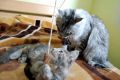 N�hled: Nej jsem tady byl jenom j�