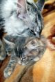 N�hled: Toto m��e byt jen �patn� sen... nechc���!