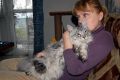 N�hled: Uji��ov�n� v nem�nn�  l�sce