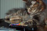 N�hled: M����m!