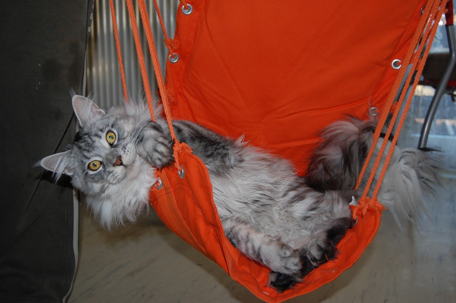 Takhle r�d relaxuji.