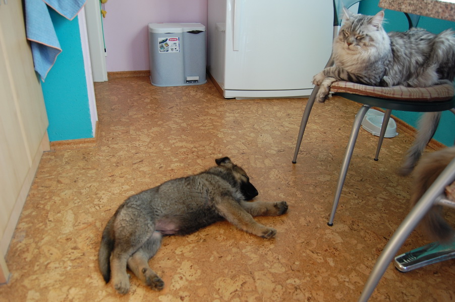 Chvilku si zd��mneme a pak zas budeme ��dit.