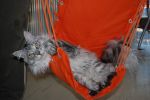 N�hled: Takhle r�d relaxuji.
