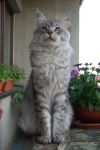N�hled: Takhle n�jak se tv���me, kdy� se fot� pasovky.