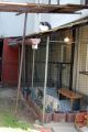 N�hled: Ko�ky pohromad�