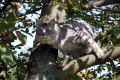 N�hled: Jsem ale krasavec...