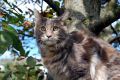 N�hled: Jsem rozen� modelka...