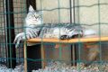 N�hled: R�d odpo��v�m po focen�
