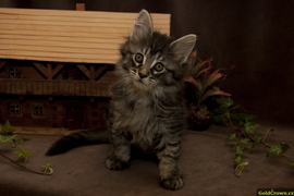 Agatha Garr - 7,5 t�dn�
