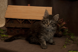 Agatha Garr - 7,5 t�dn�