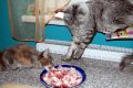 N�hled: ��kaj� n�m, �e sm�me jen libov�, ale aspo� ol�znu...