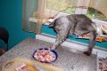 N�hled: Nemohu sed�t jen tak, chci pom�hat!