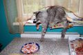 N�hled: V�dycky mi pom��e m� osobn� vidli�ka.