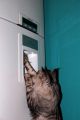 N�hled: Dvouno�ci d�lali takhle...
