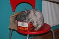 N�hled: No... skoro se mi to povedlo!