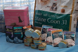krmivo - Royal Canin, Hill's, Gourmet
