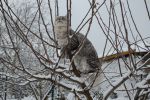 N�hled: �koda, �e neum�m l�tat jako pt�ci